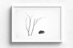 Australian Geographic Photography Prints-Phil's World' by Charles Davis