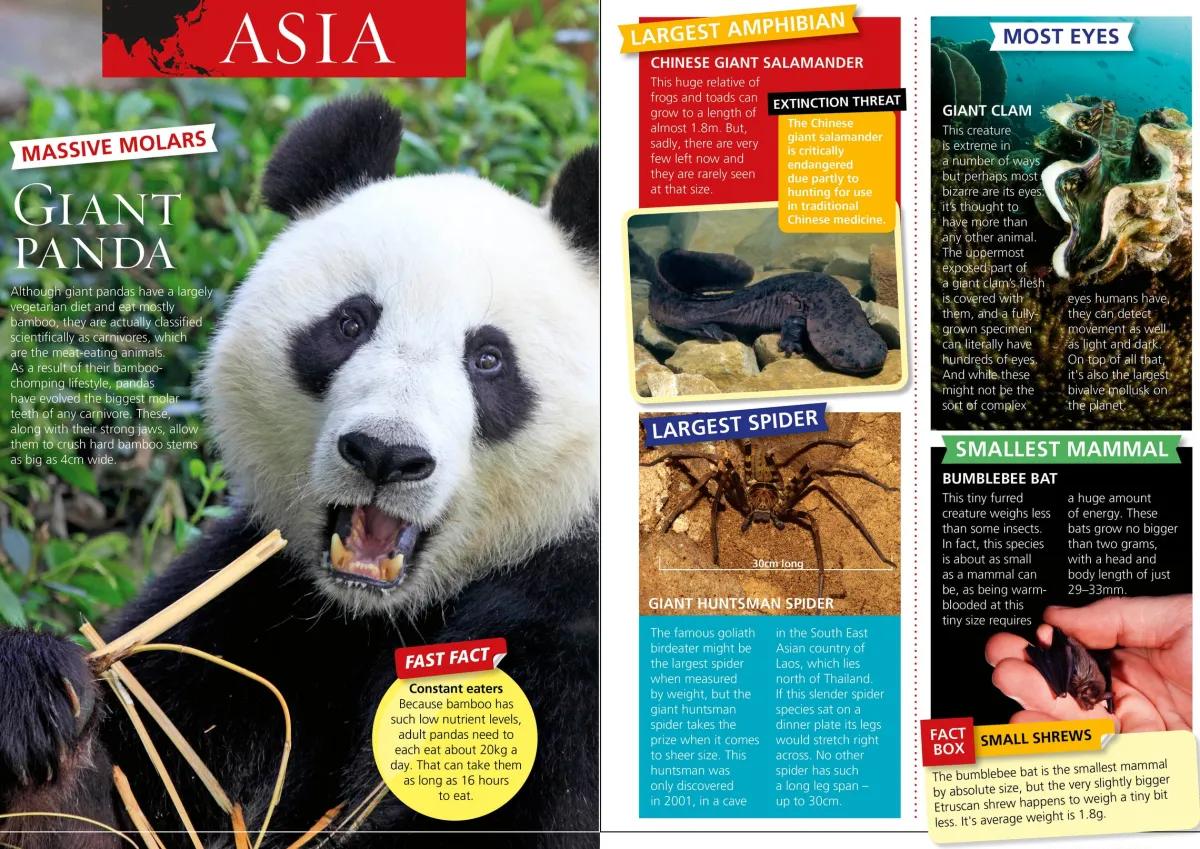Kids Australian Geographic Animals & Nature|Age 8+-World's Most Extreme