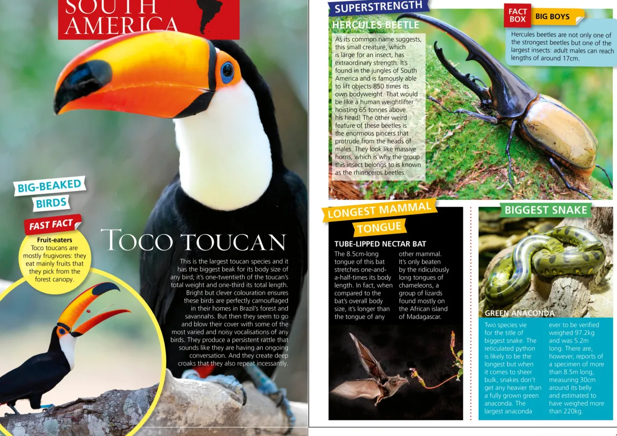 Kids Australian Geographic Animals & Nature|Age 8+-World's Most Extreme