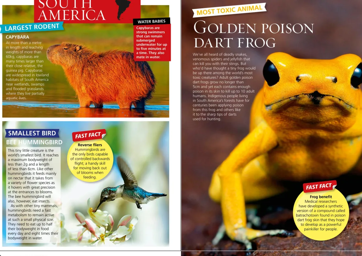 Kids Australian Geographic Animals & Nature|Age 8+-World's Most Extreme